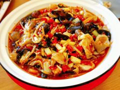 -陈麻婆豆腐总店