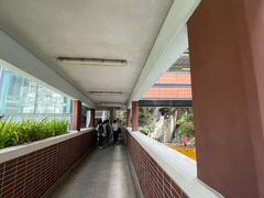 -香港大学