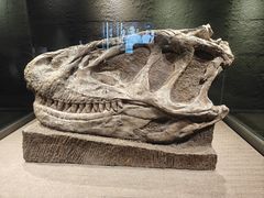 -自贡恐龙博物馆