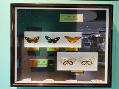 -上海昆虫博物馆