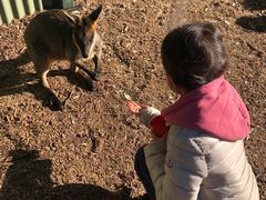 -费瑟代尔野生动物园