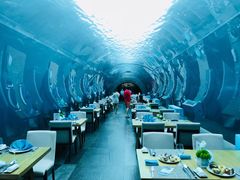 -海棠湾洲际-涛·海底餐厅·美人鱼·自助餐·海底隧道