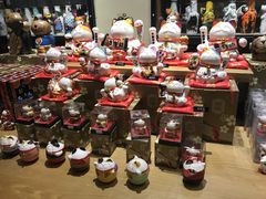 -猫咪博物馆(顶澳仔猫街店)