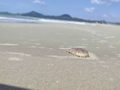 -漳州滨海火山岛自然生态风景区