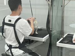 -comecome来吧宠物(奥克斯中心店)