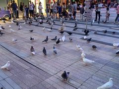 -中航城君尚购物中心