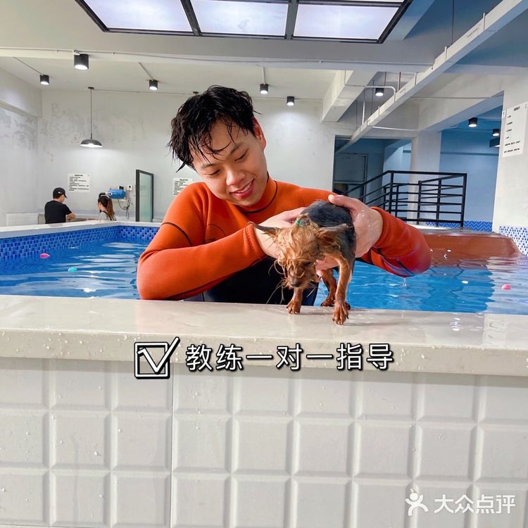 郑州探店|郑州最大宠物游泳池|宠浪hotel|