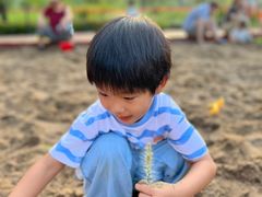 -西海子公园