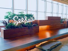 -Seesaw Coffee(朝阳大悦城店)