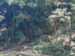 -灵隐飞来峰景区