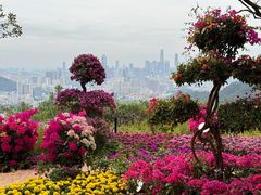 -广州市白云山风景名胜区