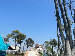 -春花秋色城市公园