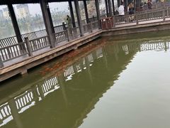 -枫香湖儿童公园