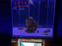 -太平洋海底世界