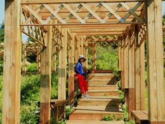 -白草畔自然风景区