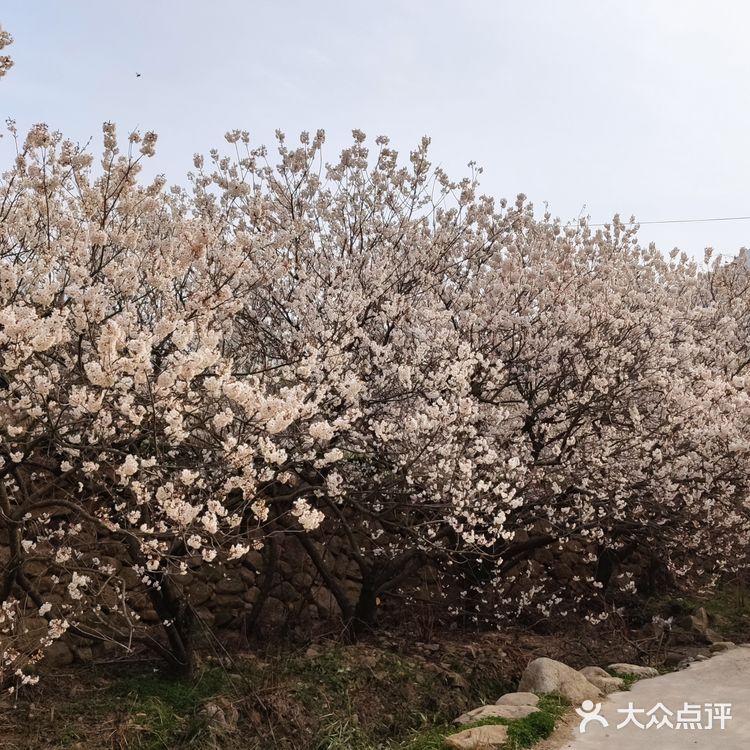 真是个踏青散心的好去处