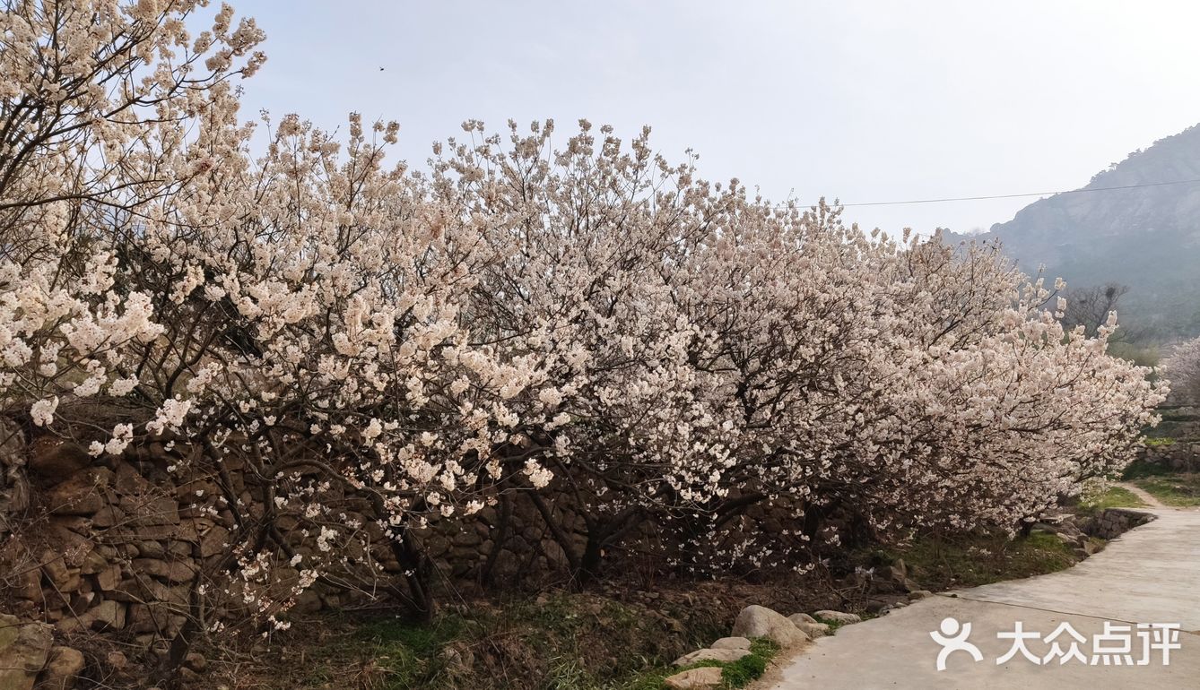 真是个踏青散心的好去处