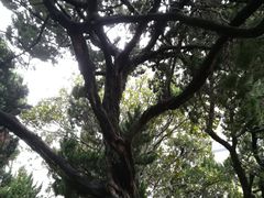 -瀛洲公园