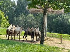 -北京野生动物园