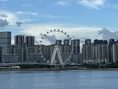 -深圳湾公园(南山区)