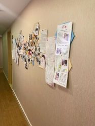 -海豚湾高端月子会所(黄浦店)