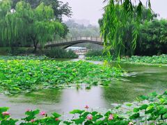 -皇家御河游(紫御湾码头)