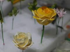 -王森咖啡西点烘焙培训(上海名厨中心店)