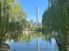 -团结湖公园