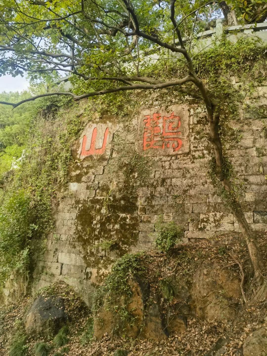 富阳鹳山公园,休闲好去处