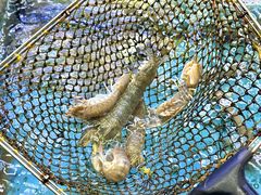 -龙溪海鲜酒家(溪涌店)