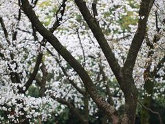 -中国茶叶博物馆(双峰馆区)