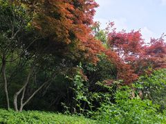 -杭州半山国家森林公园