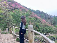 -木兰云雾山