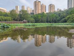 -龙头寺公园
