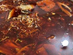 -蓉城西二道无名冒菜(西二道街店)