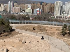 -青藏高原野生动物园