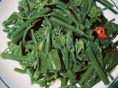 木姜子拌丝瓜尖-一坐一忘云南菜(三里屯店)