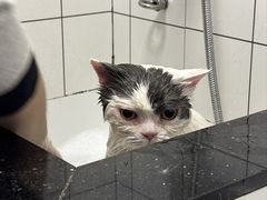 -拜鲁耶动物诊疗中心·宠家动物医院