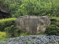 -范蠡湖公园