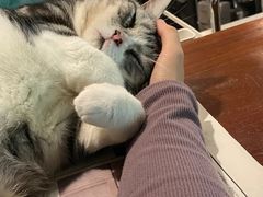 -咖法森林·咖啡  酒吧(天河店)