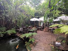 -Fern Forest Cafe