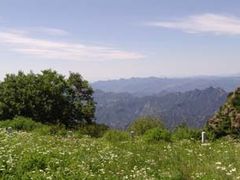 -白草畔自然风景区