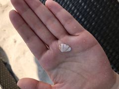 -查汶海滩