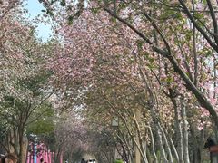 -洛阳市隋唐城遗址植物园