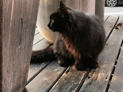 -argangKaffe(宝庆路店)