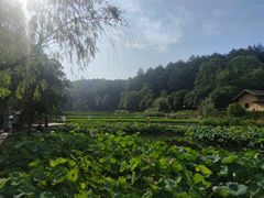 -韶山毛泽东同志故居
