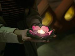 -西双版纳洲际度假酒店兰吧