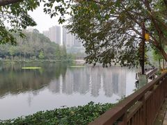 -重庆彩云湖湿地公园