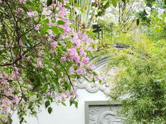 -深圳国际园林花卉博览园