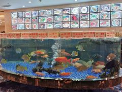 -顺德人家食府(黄金广场店)